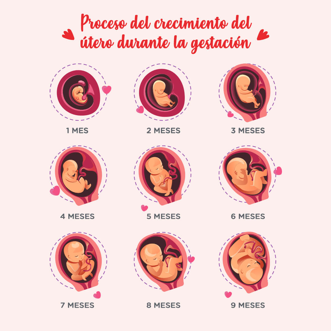 Menstruación o sangrado post parto